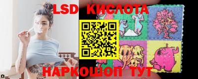 меф Гатчина