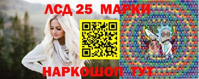 меф Гатчина