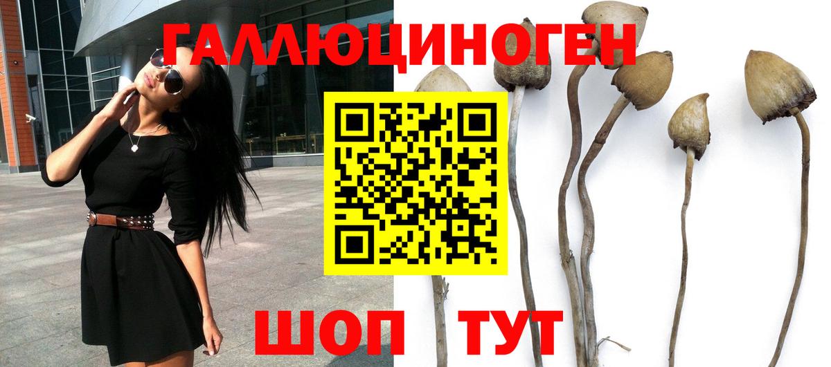 Псилоцибиновые грибы Magic Shrooms Нерюнгри