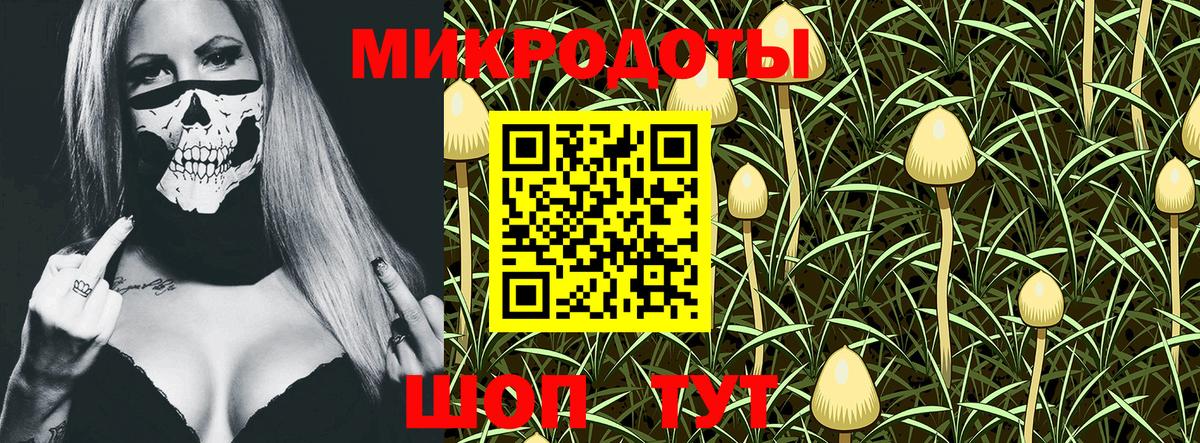 Нерюнгри  закладка  Вход с VPN  Псилоцибиновые грибы Psilocybine cubensis  Псилоцибиновые грибы мухоморы 